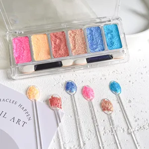 Feste Aurora Nagelpulver Palette Sechs Farben Magischer Spiegel Pulver Chrom Pigment Glitzer