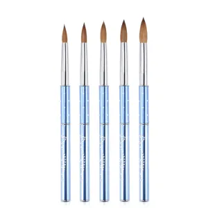 Set di pennelli professionali per nail art con manico in strass blu per acrilico.