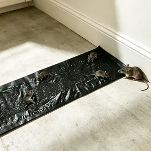 Black extra long sticky rat trap carpet strong adhesive pest control catcher pad for home