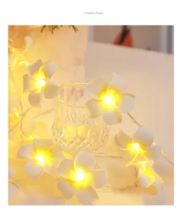 Guirnalda de luces LED frangipani luz cálida brillante para decoración de dormitorio.