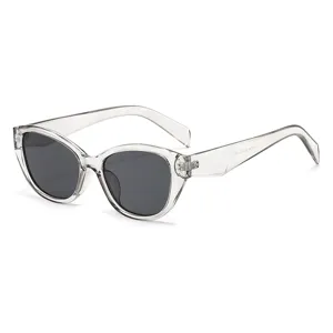 Clear frame cat eye sunglasses for women and men, trendy fashion eyewear with dark lenses.