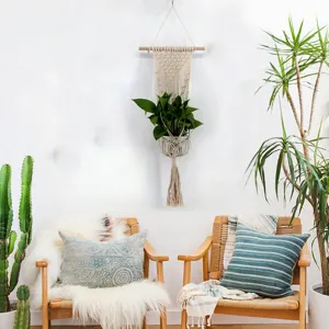 Détail de scène de suspension de plante en macramé boho avec bâton en bois et plante verte.