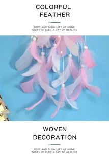 Detailed close-up of pink and white feather dream catcher, cute wall hanging decor.