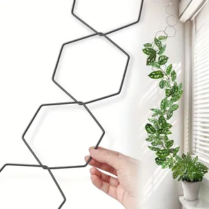 Black metal hexagon plant climbing trellis for indoor potted vines support and garden decoration.