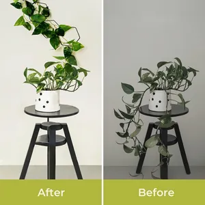 Metal hexagon plant climbing frame wall trellis for potted plants indoor garden decor