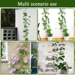 Hexagonal metal plant climbing trellis for potted flowers and garden vines support stand