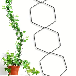Metal hexagonal plant climbing trellis support frame for potted flowers and vines.