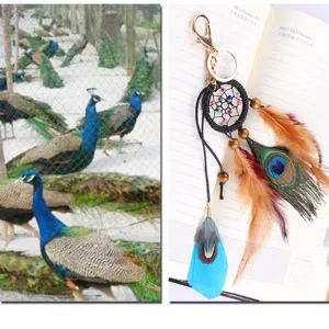 Llavero atrapasueños con pluma de pavo real natural para bolso y coche accesorio