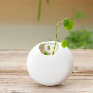 White ceramic wall-hanging spherical flower pot for home gardening, modern hydroculture decor.