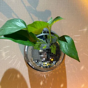 Kreativer Diskokugel Wandbehang Blumentopf Aus Glas Und Acryl Spiegelmosaik Moderner Dekorativer Übertopf Für Hydrokulturpflanzen