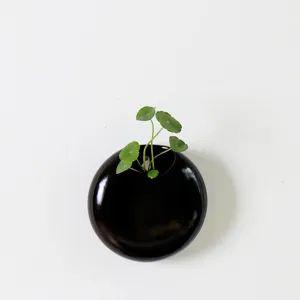 Black round ceramic wall mounted planter modern minimalist hydroponic vase for home decor
