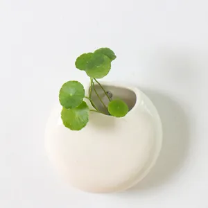 White ceramic wall mounted flower pot for indoor hydroponic plants, modern home garden decor.