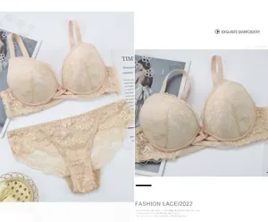 Women sexy lace bra and panties set plus size floral embroidery underwear comfortable.