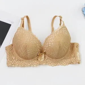 French plus size lace push up bra in beige, elegant floral lace and cute front bow detail.