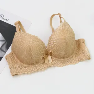 French plus-size lace bra detailed view, beautiful floral pattern and gathered cup design for women.
