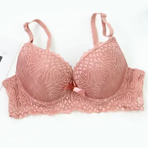 Women's French lace push-up bra, sexy comfortable underwear with bowknot, plus size lingerie.