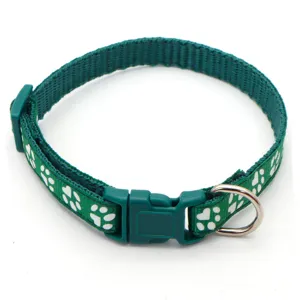 Green nylon pet collar detail with white paw print pattern, plastic buckle, and metal D-ring.