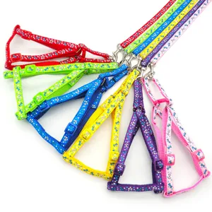 Ensemble harnais et laisse coloré pour chiot avec motif mignon d'os et d'étoile pour petits animaux.