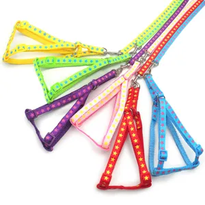 Ensemble harnais et laisse pour chien a motif d'etoiles colorees avec boucles reglables.