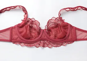 Nahaufnahme des eleganten roten Spitzen-BHs mit feiner Blumenstickerei und Textur.