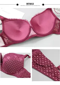 Grosse Pünktchen Spitze BH Detailansicht mit Push-up Cups und komfortablem Material.