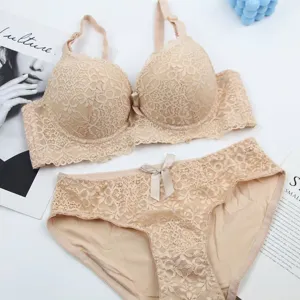 Große Größen französische Spitze Lingerie Set, sexy Luxus nude BH und Höschen Detail.