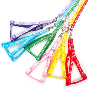 Ensemble harnais et laisse pour petit chien et chat de 1.0cm coloré et pratique.