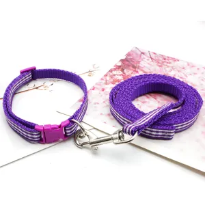 Detailed view of purple pet collar and leash set with reflective stripes and metal hardware.