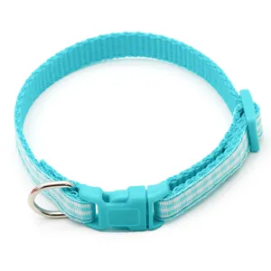 Close-up detail view of the cyan pet collar buckle and durable metal ring mechanism.