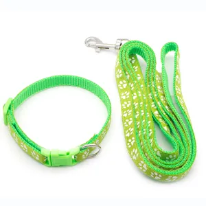 Set guinzaglio e collare per cani gatti verde con motivo impronta di zampa bianca all'aperto.