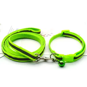 Vue détaillée de l'ensemble collier et laisse réfléchissants vert fluo pour animaux.