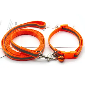 Gros plan sur l'ensemble de laisse et collier réfléchissants pour animaux de compagnie.