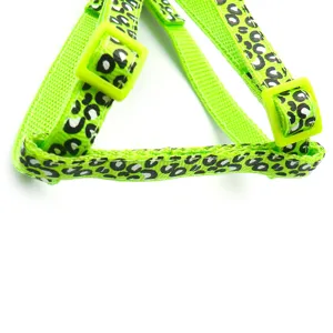 Neon-grünes Leopardenmuster Haustiergeschirr Detail zeigt Nylonband und Schnalle.