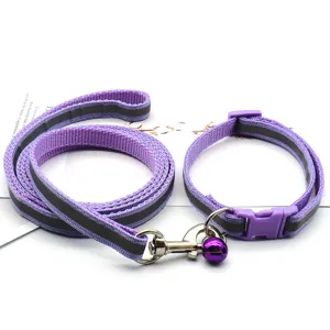 Détail de laisse et collier réfléchissants pour animaux, accessoire violet en nylon.