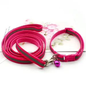 Ensemble de laisse et collier réfléchissants roses pour chien et chat en promenade.