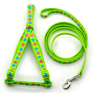 Green pet harness and leash set detail showing soft woven fabric and cute heart pattern.