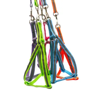 Buntes reflektierendes Haustiergeschirr und Leinen-Set für kleine Hunde und Katzen, Nylon.