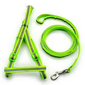Reflektierendes Hundegeschirr und Leine Set Detail mit neongruenem Nylon und Metallhaken.