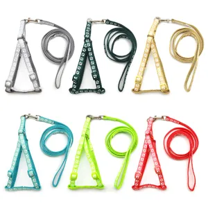 Detailed view of colorful pet dog harness and leash sets featuring cute paw print patterns.