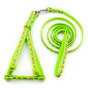 Set pettorina e guinzaglio verde per animali domestici con simpatici volti di animali cartone.