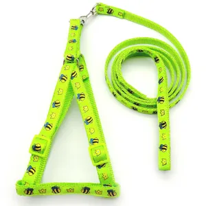 Set imbracatura e guinzaglio verde per animali domestici con motivo di ape e corona.