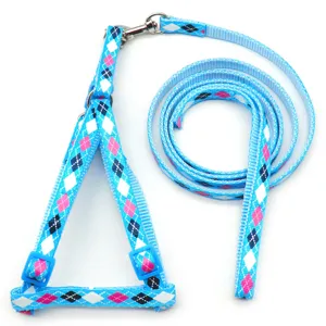 Blue argyle pet harness and leash set, puppy walking chest strap and dog lead chain.