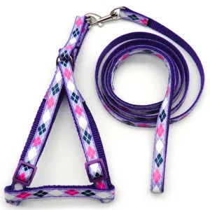 Detailed shot of purple argyle pattern pet harness and leash set with adjustable metal hardware.