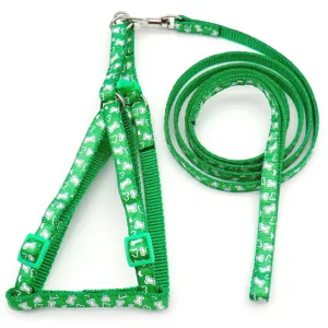 Green dog harness and leash set with cute bone print design for small pets walking.