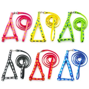 Detailed closeup of pet harness and leash sets featuring vibrant colors and cute fishbone patterns.