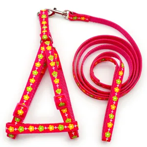 Detailed view of pink floral pet harness and leash set with adjustable buckles for small animals.