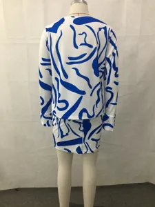 Detail view of the blue and white abstract print long sleeve top and mini skirt set back.