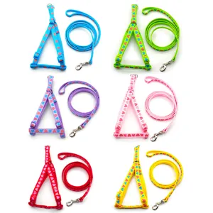 Colorful pet dog cat harness and leash set with cute heart print for daily walking training.