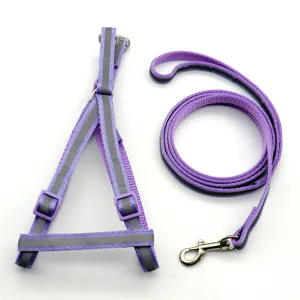 Detailaufnahme des violetten reflektierenden Hunde Brustgeschirrs und der Leine für kleine Katzen.