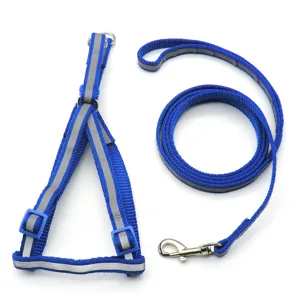 Nahaufnahme des blauen reflektierenden Hunde-Brustgeschirrs und der stabilen Nylon-Leine.